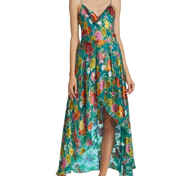 Alice + Olivia Christina Floral Hi-Lo Dress - Picture 2 of 13